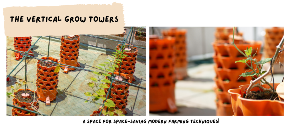 Vertical Grow Towers